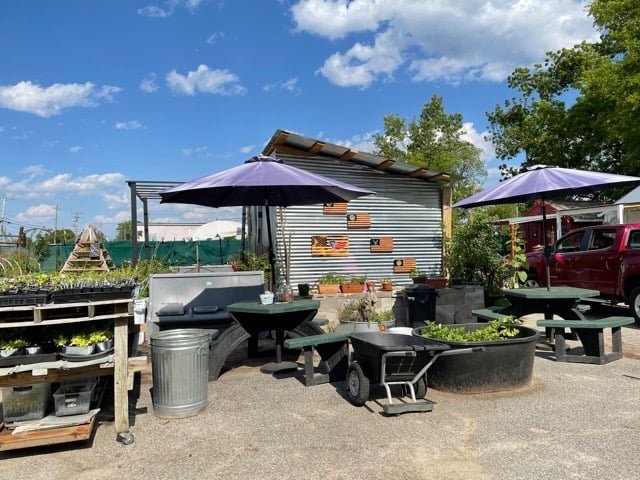 Outdoor garden seating area featuring green tables and purple umbrellas, surrounded by potted plants and a rustic shed, under a bright blue sky with scattered clouds.